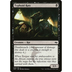 Typhoid Rats