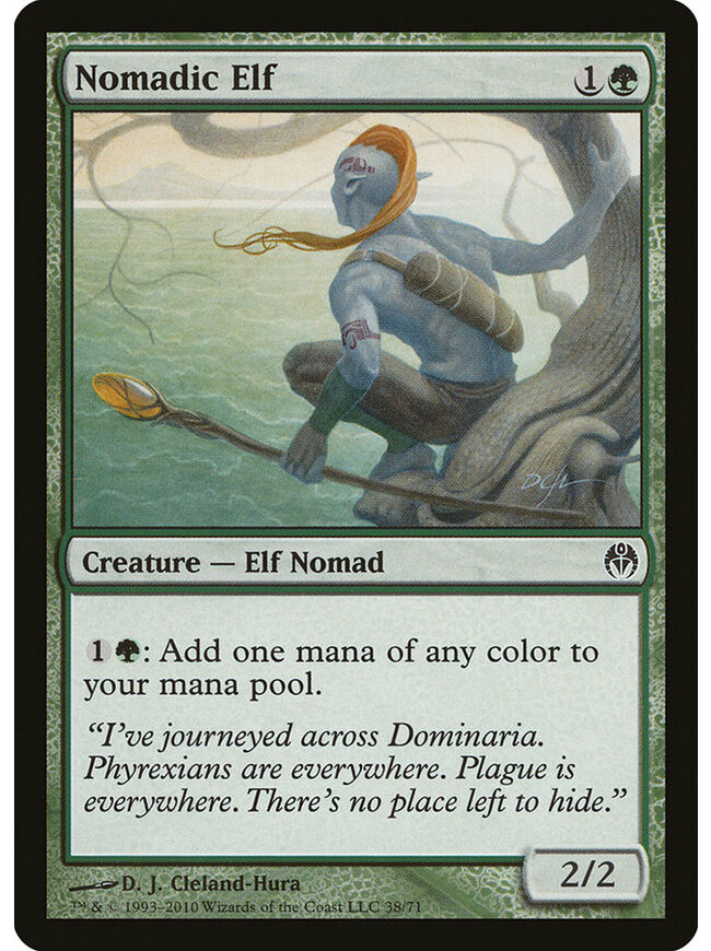 Nomadic Elf