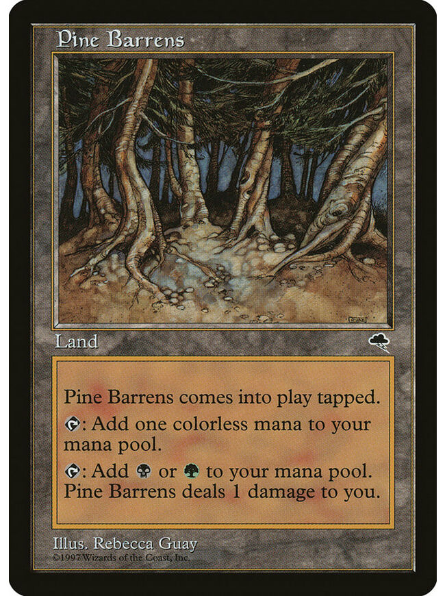Pine Barrens
