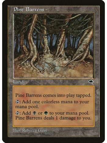 Pine Barrens