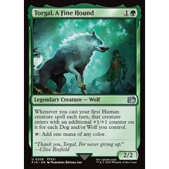 Torgal, A Fine Hound