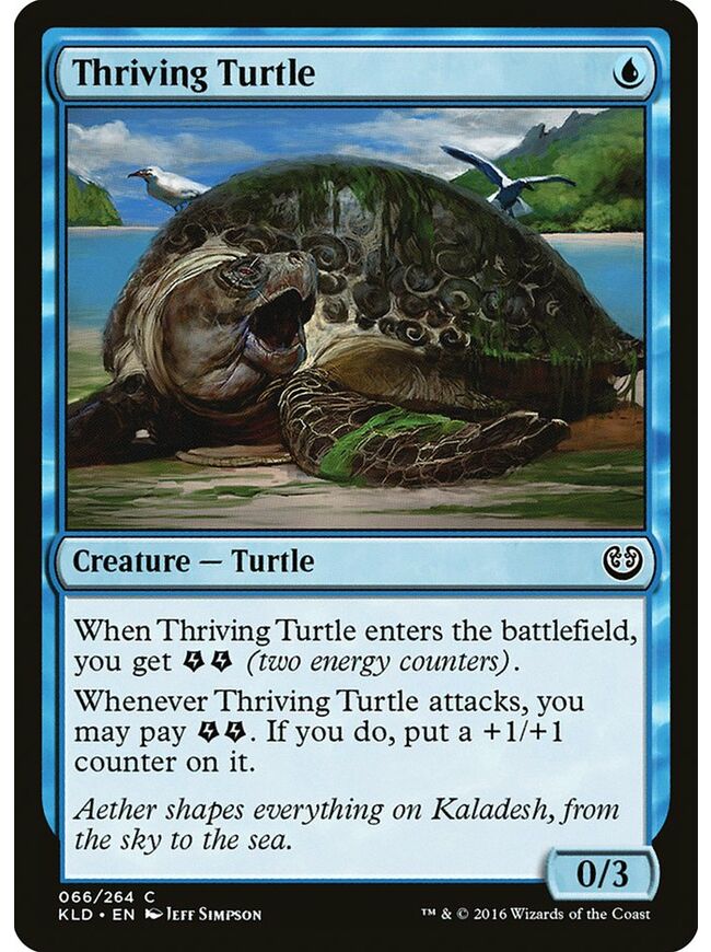 Thriving Turtle