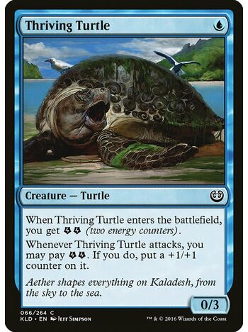 Thriving Turtle
