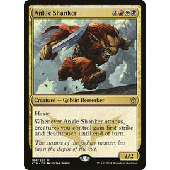 Ankle Shanker