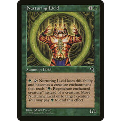 Nurturing Licid