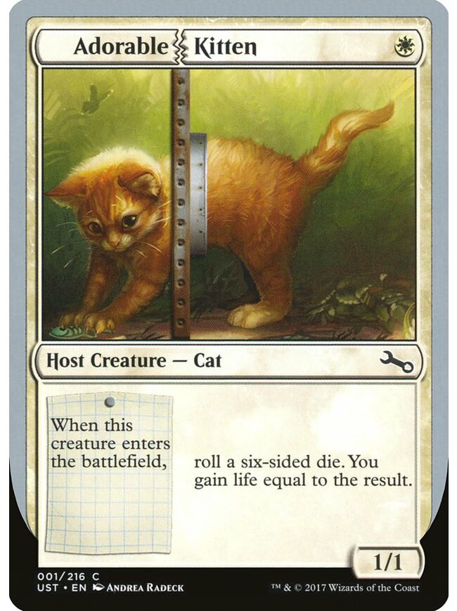 Adorable Kitten