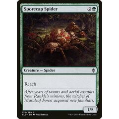 Sporecap Spider