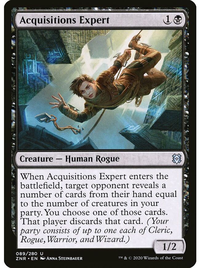 Acquisitions Expert