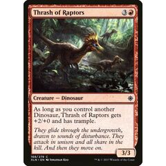 Thrash of Raptors
