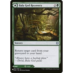 Bala Ged Recovery // Bala Ged Sanctuary