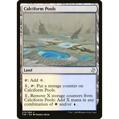 Calciform Pools