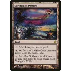 Springjack Pasture