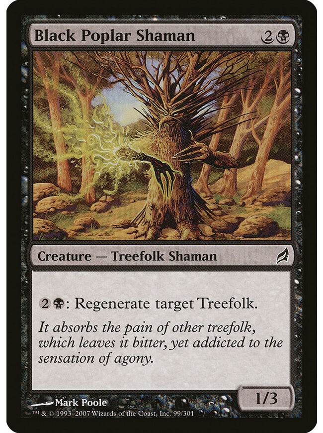 Black Poplar Shaman