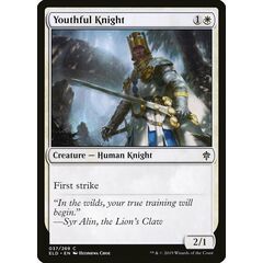 Youthful Knight