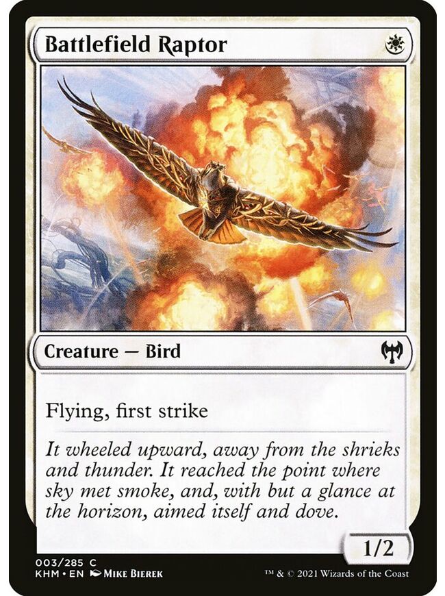 Battlefield Raptor