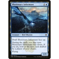 Illusionary Informant
