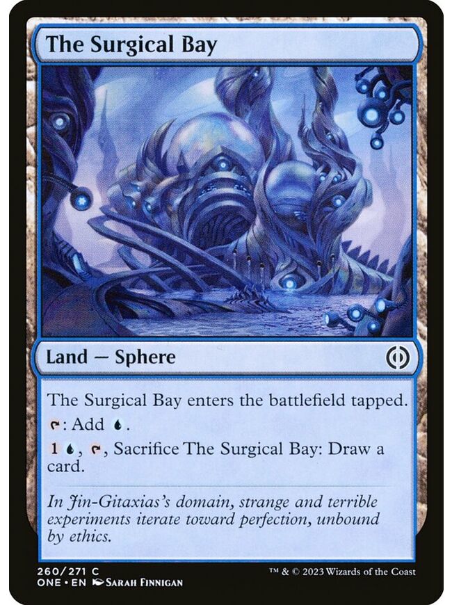 The Surgical Bay