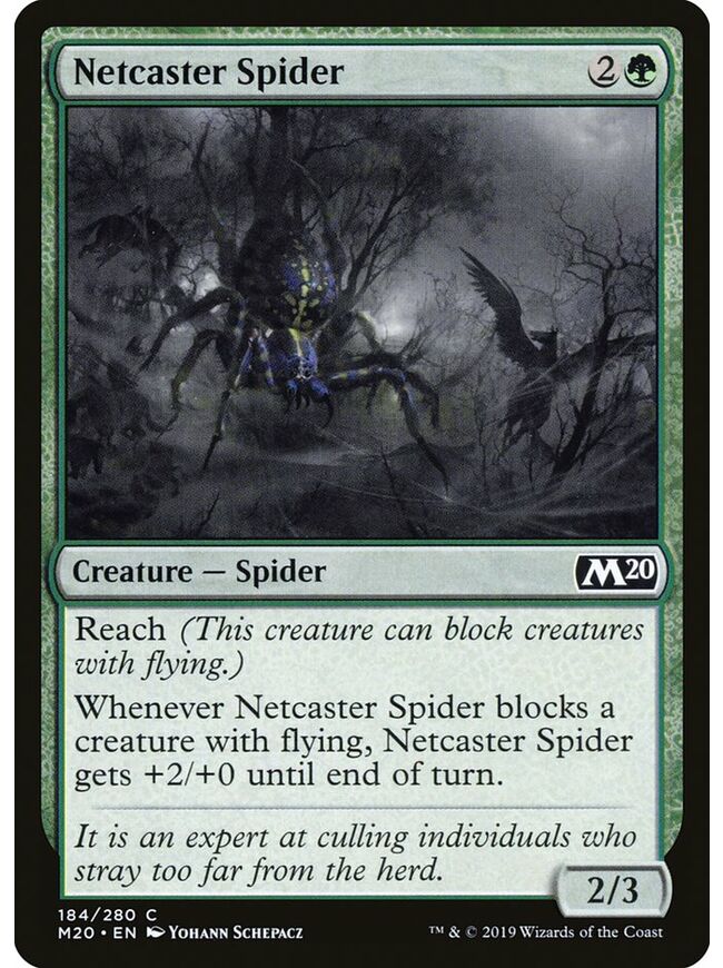 Netcaster Spider