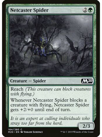 Netcaster Spider
