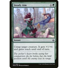 Steady Aim