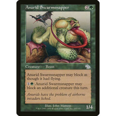 Anurid Swarmsnapper