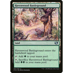 Havenwood Battleground