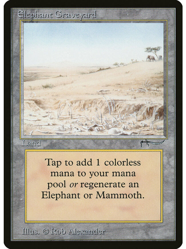 Elephant Graveyard