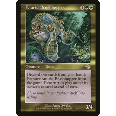 Anurid Brushhopper