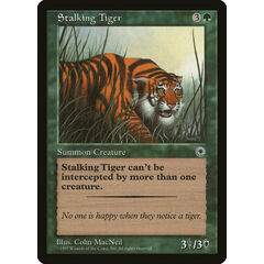 Stalking Tiger
