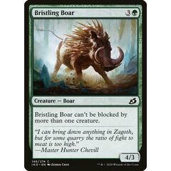 Bristling Boar