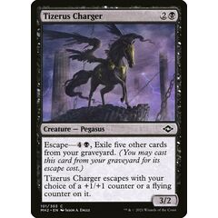 Tizerus Charger