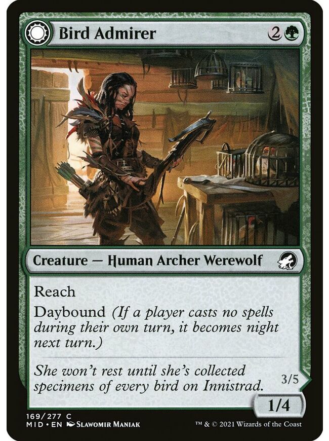 Bird Admirer // Wing Shredder