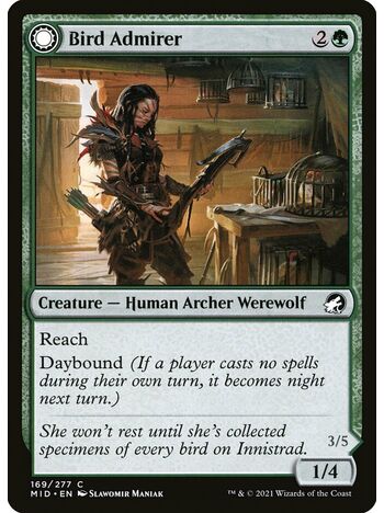 Bird Admirer // Wing Shredder