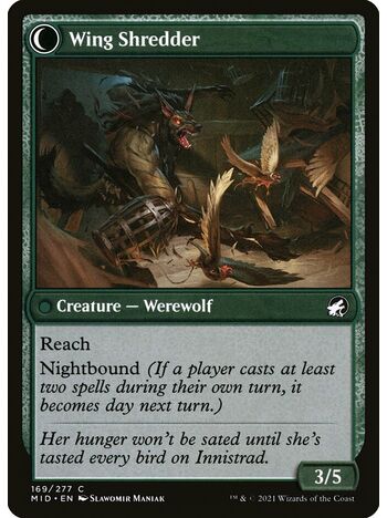 Bird Admirer // Wing Shredder