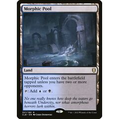 Morphic Pool