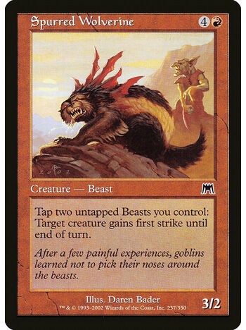 Spurred Wolverine