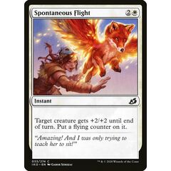 Spontaneous Flight