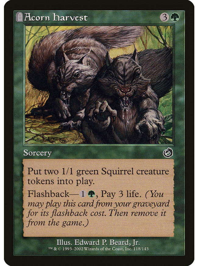 Acorn Harvest