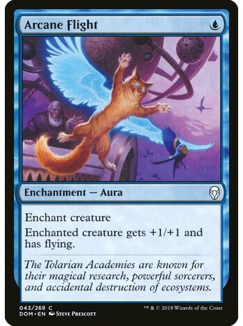 Arcane Flight