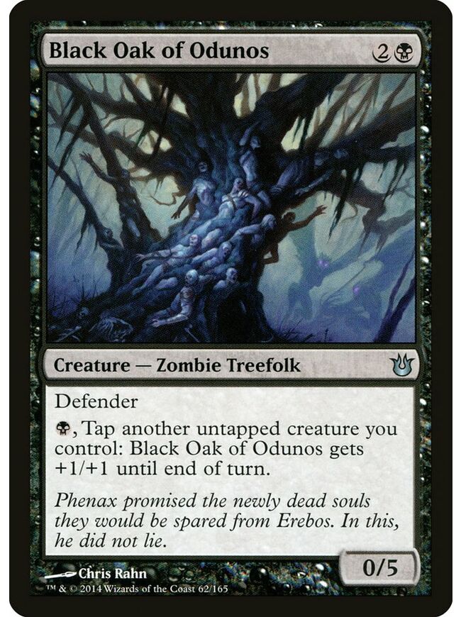 Black Oak of Odunos