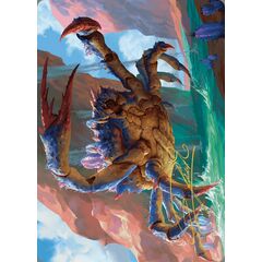 Canyon Crab // Canyon Crab (Art Series)