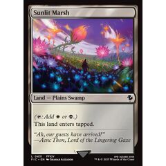 Sunlit Marsh