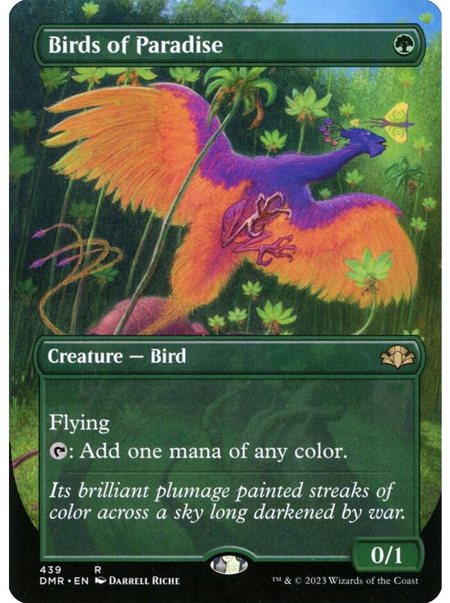 Birds of Paradise
