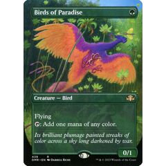 Birds of Paradise