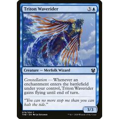 Triton Waverider