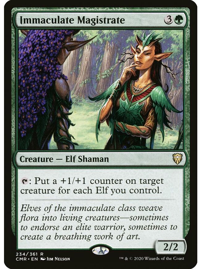Immaculate Magistrate