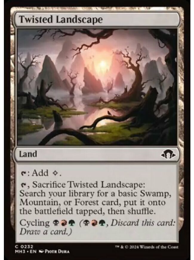 Twisted Landscape