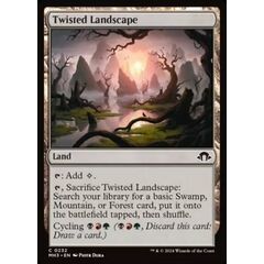 Twisted Landscape