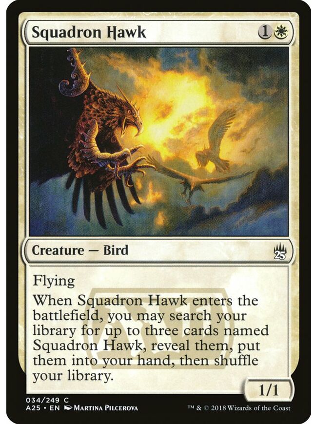 Squadron Hawk