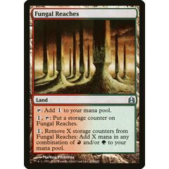Fungal Reaches